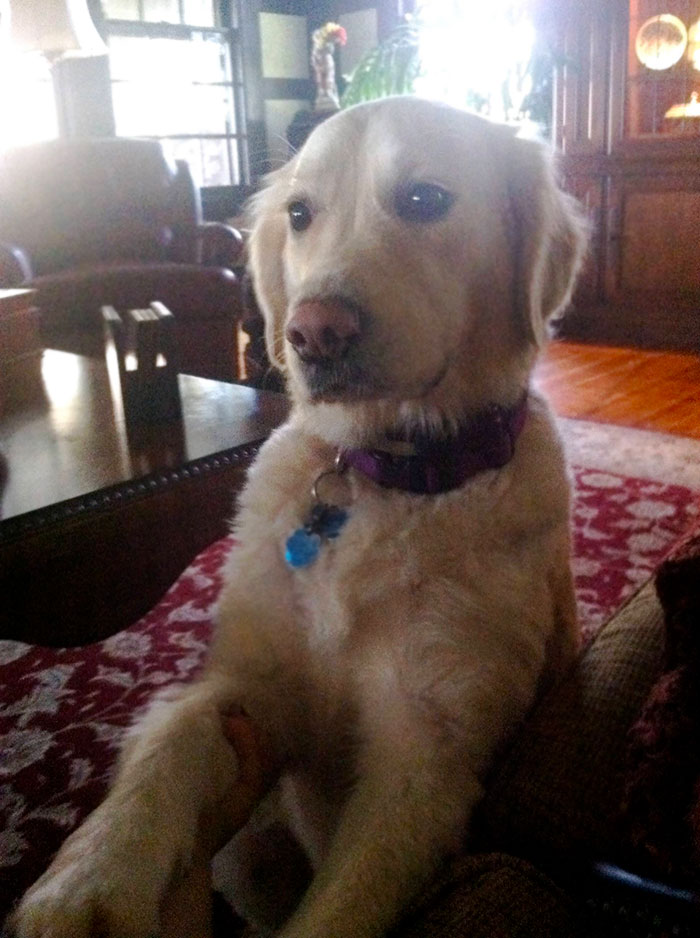 She Kept Me Company While I Was Sick This Weekend