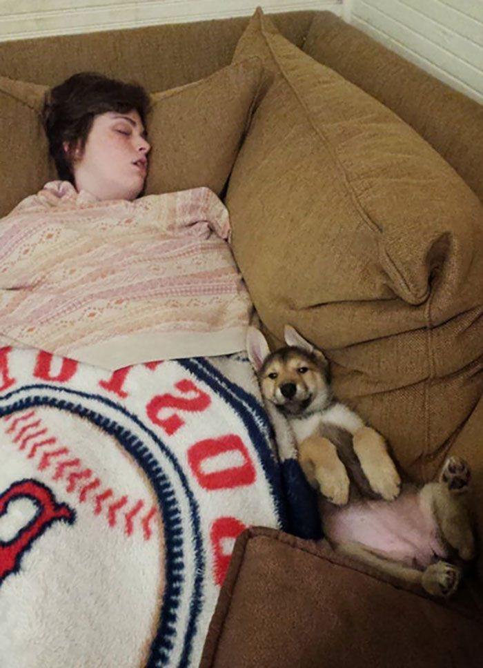 I Was Really Sick The First Week We Got Arya. She Stayed With Me The Whole Time