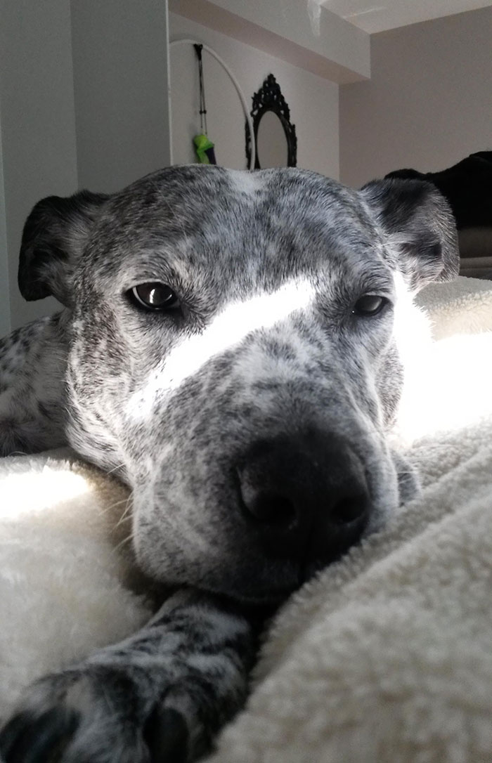 My Cuddle Buddy. Being Sick Isn't So Bad