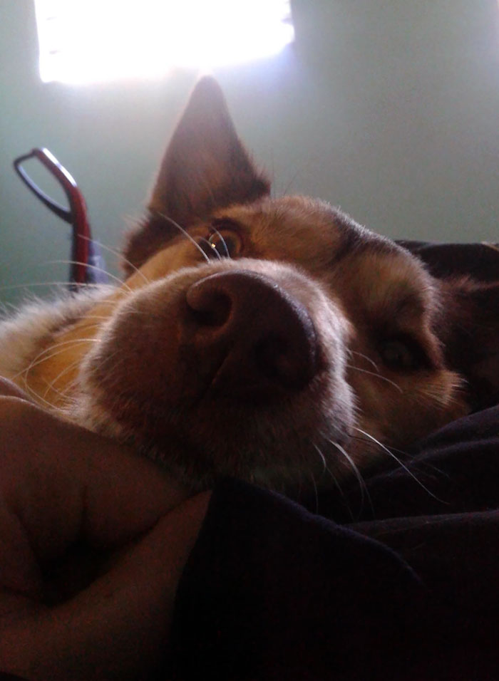 I Was Sick In Bed. Stitch Helped