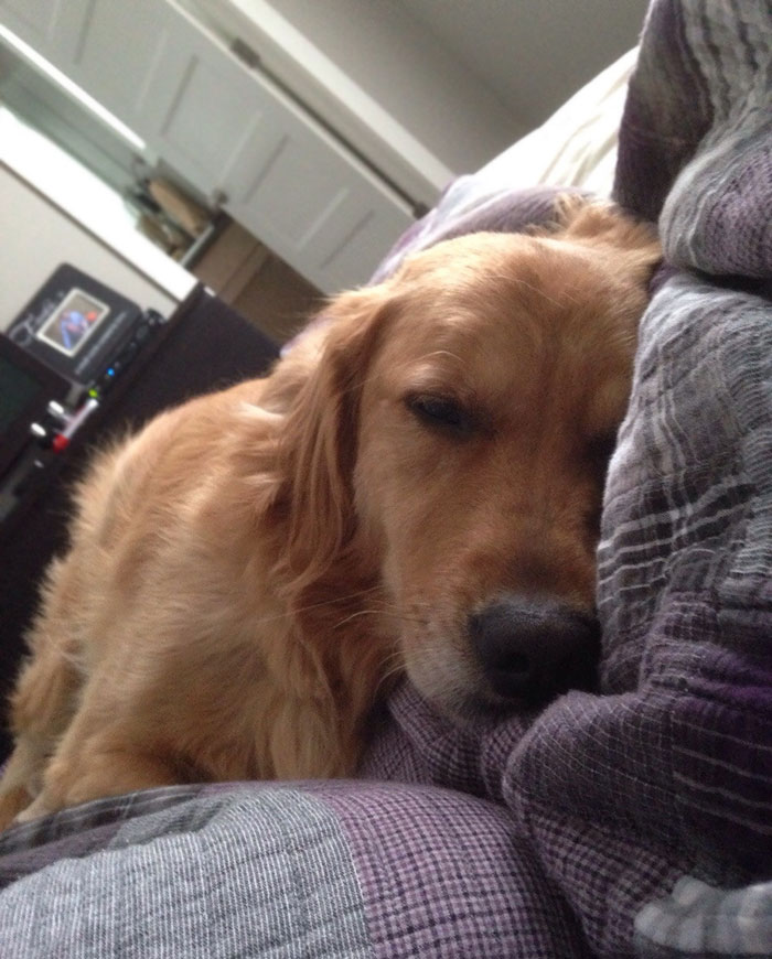 Wife Is At Home Sick All Day, Good Thing Someone's There To Make Her Feel Better