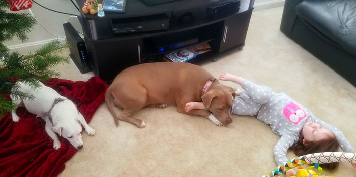 When Your Dogs Know The Baby Is Sick. Right In The Feels