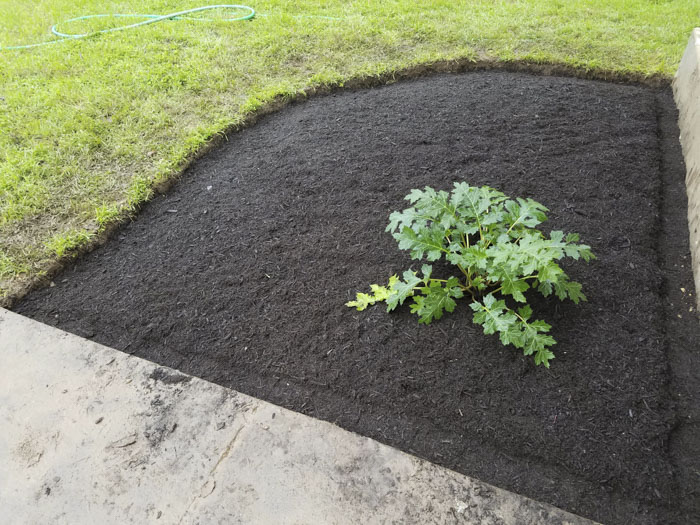 Man Grows A Garden To Keep Promise For His Late Wife, Gets Heartwarming Help From A "Plant Fairy" Man Grows A Garden To Keep Promise For His Late Wife, Gets Heartwarming Help From A "Plant Fairy"