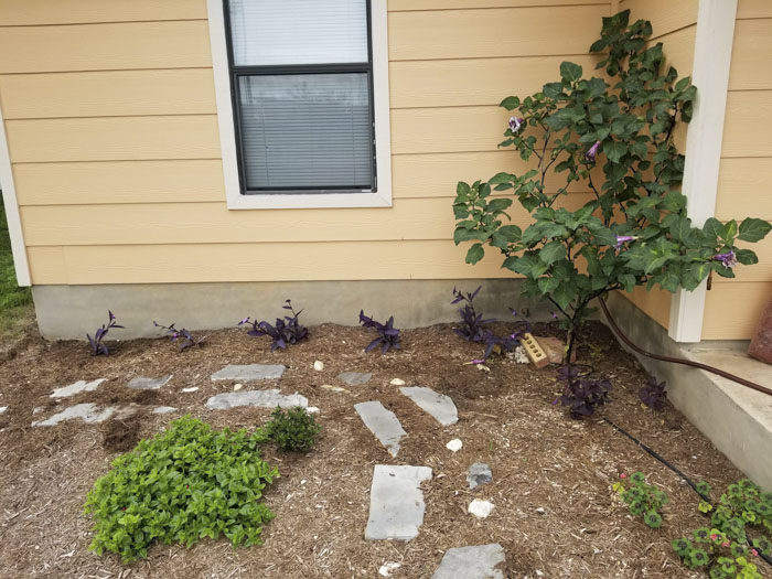 Man Grows A Garden To Keep Promise For His Late Wife, Gets Heartwarming Help From A "Plant Fairy" Man Grows A Garden To Keep Promise For His Late Wife, Gets Heartwarming Help From A "Plant Fairy"
