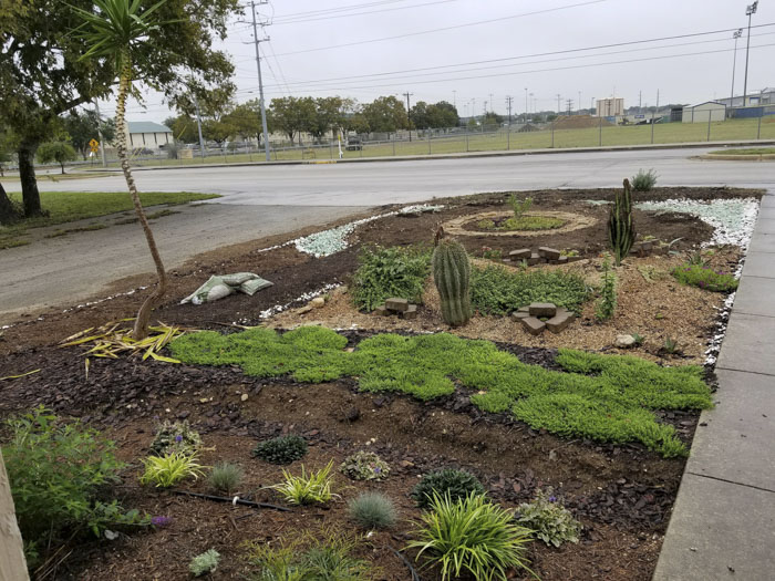 Man Grows A Garden To Keep Promise For His Late Wife, Gets Heartwarming Help From A "Plant Fairy" Man Grows A Garden To Keep Promise For His Late Wife, Gets Heartwarming Help From A "Plant Fairy"