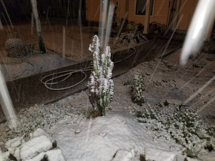 Man Grows A Garden To Keep Promise For His Late Wife, Gets Heartwarming Help From A "Plant Fairy" Man Grows A Garden To Keep Promise For His Late Wife, Gets Heartwarming Help From A "Plant Fairy"