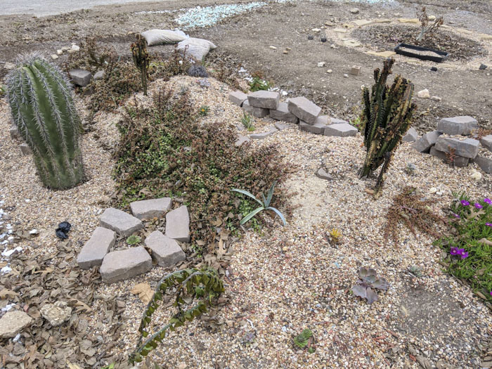 Man Grows A Garden To Keep Promise For His Late Wife, Gets Heartwarming Help From A "Plant Fairy" Man Grows A Garden To Keep Promise For His Late Wife, Gets Heartwarming Help From A "Plant Fairy"