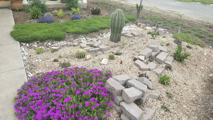 Man Grows A Garden To Keep Promise For His Late Wife, Gets Heartwarming Help From A "Plant Fairy" Man Grows A Garden To Keep Promise For His Late Wife, Gets Heartwarming Help From A "Plant Fairy"