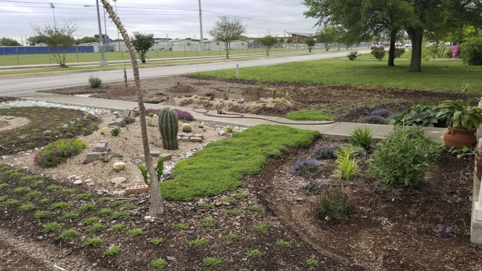 Man Grows A Garden To Keep Promise For His Late Wife, Gets Heartwarming Help From A "Plant Fairy" Man Grows A Garden To Keep Promise For His Late Wife, Gets Heartwarming Help From A "Plant Fairy"