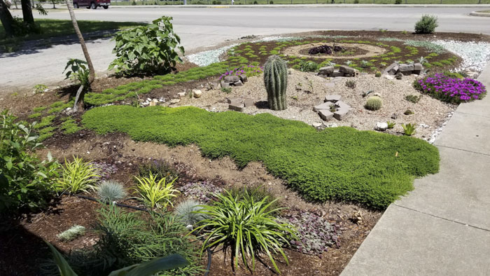 Man Grows A Garden To Keep Promise For His Late Wife, Gets Heartwarming Help From A "Plant Fairy"