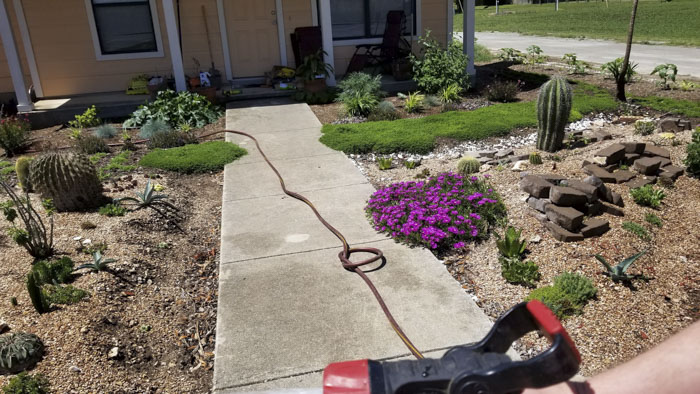 Man Grows A Garden To Keep Promise For His Late Wife, Gets Heartwarming Help From A "Plant Fairy" Man Grows A Garden To Keep Promise For His Late Wife, Gets Heartwarming Help From A "Plant Fairy"