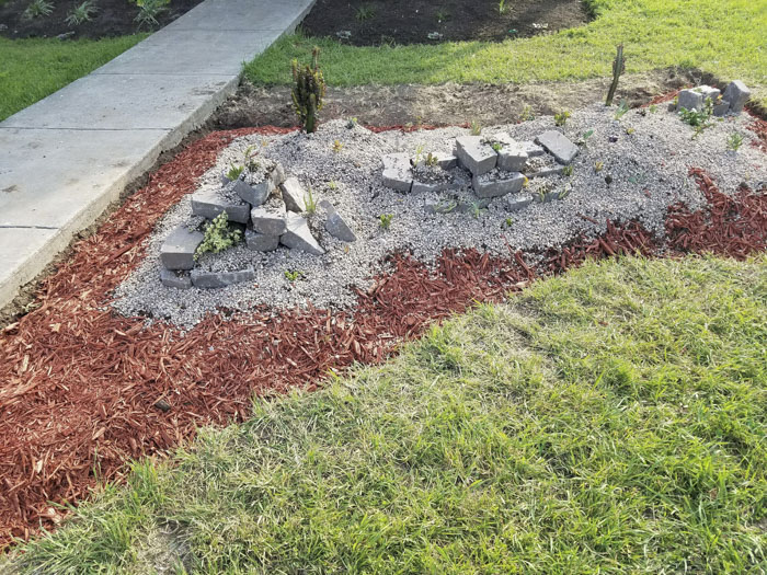 Man Grows A Garden To Keep Promise For His Late Wife, Gets Heartwarming Help From A "Plant Fairy" Man Grows A Garden To Keep Promise For His Late Wife, Gets Heartwarming Help From A "Plant Fairy"