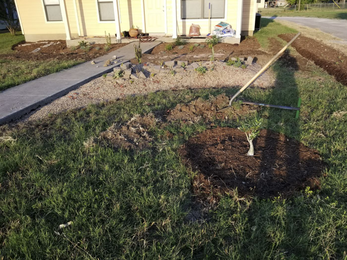 Man Grows A Garden To Keep Promise For His Late Wife, Gets Heartwarming Help From A "Plant Fairy" Man Grows A Garden To Keep Promise For His Late Wife, Gets Heartwarming Help From A "Plant Fairy"