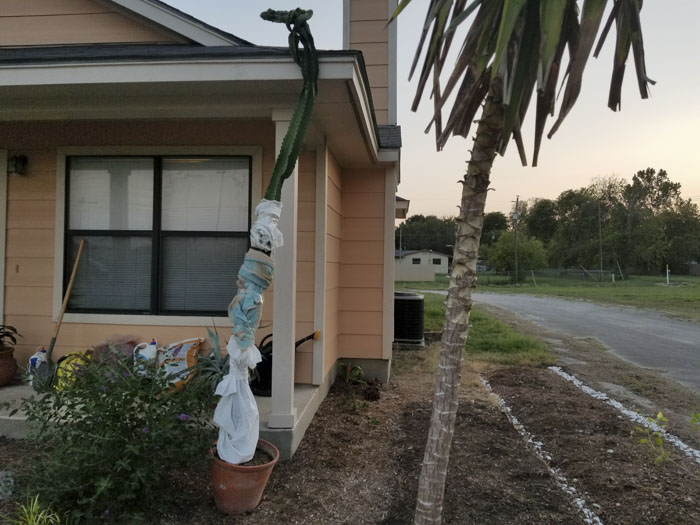 Man Grows A Garden To Keep Promise For His Late Wife, Gets Heartwarming Help From A "Plant Fairy" Man Grows A Garden To Keep Promise For His Late Wife, Gets Heartwarming Help From A "Plant Fairy"