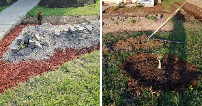 Man Grows A Garden To Keep Promise For His Late Wife, Gets Heartwarming Help From A “Plant Fairy”