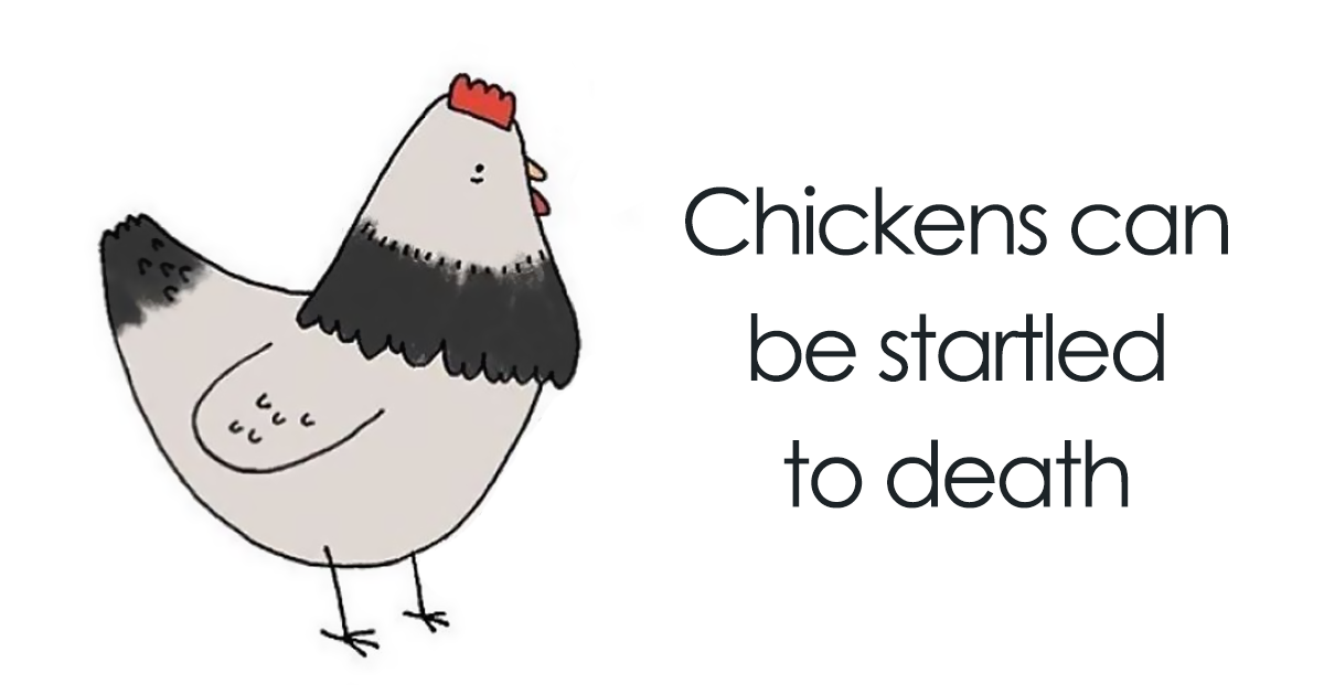 45 Sad Animal Facts You Probably Didn’t Know