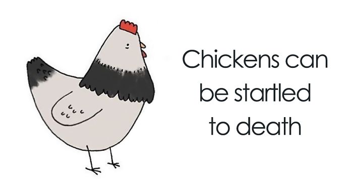 45 Sad Animal Facts You Probably Didn’t Know