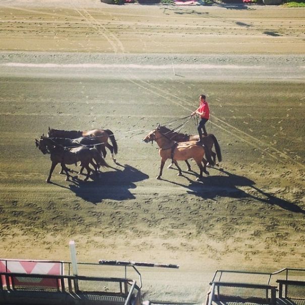 Why Women Live Longer...