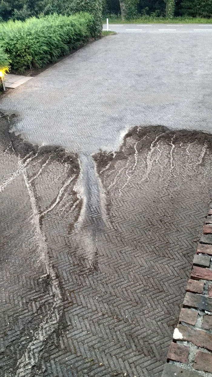 Twelve Years Of Dirt