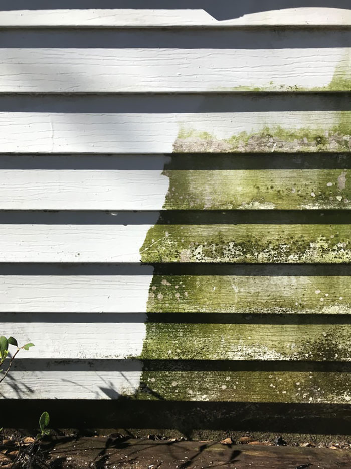 Washed The House Today