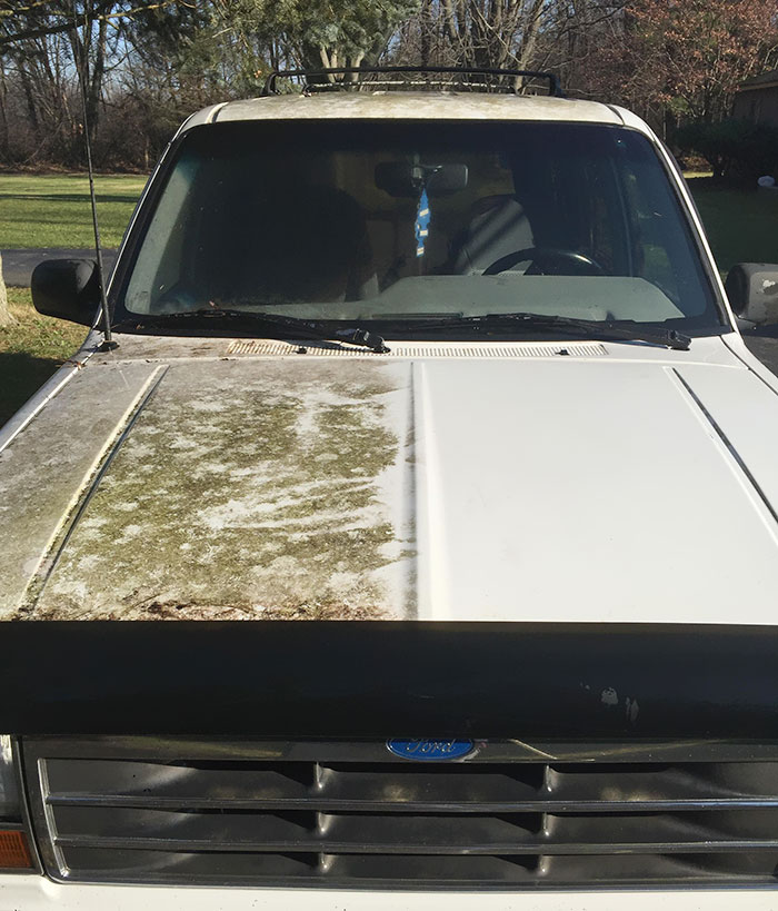 Algae Covered Explorer