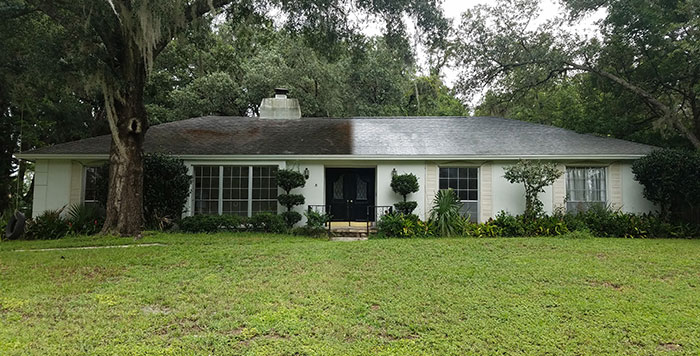 Not Technically Pressure Washing, But Arguably More Satisfying