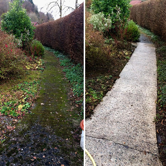 Beautiful Path Underneath The Dirt