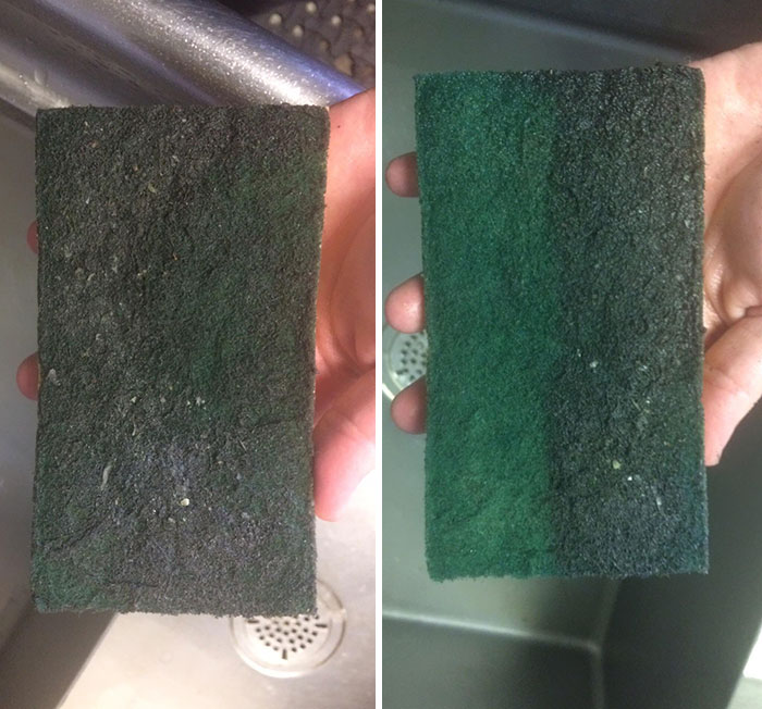 I Pressure Washed A Sponge At Work Today While I Was Cleaning Up