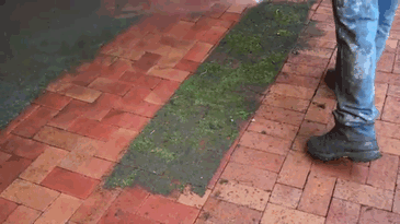 Brick Pressure Cleaning