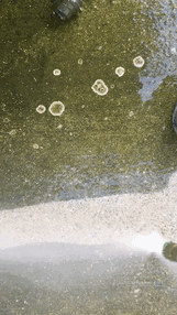 Giving The Patio Its Once A Year Cleaning