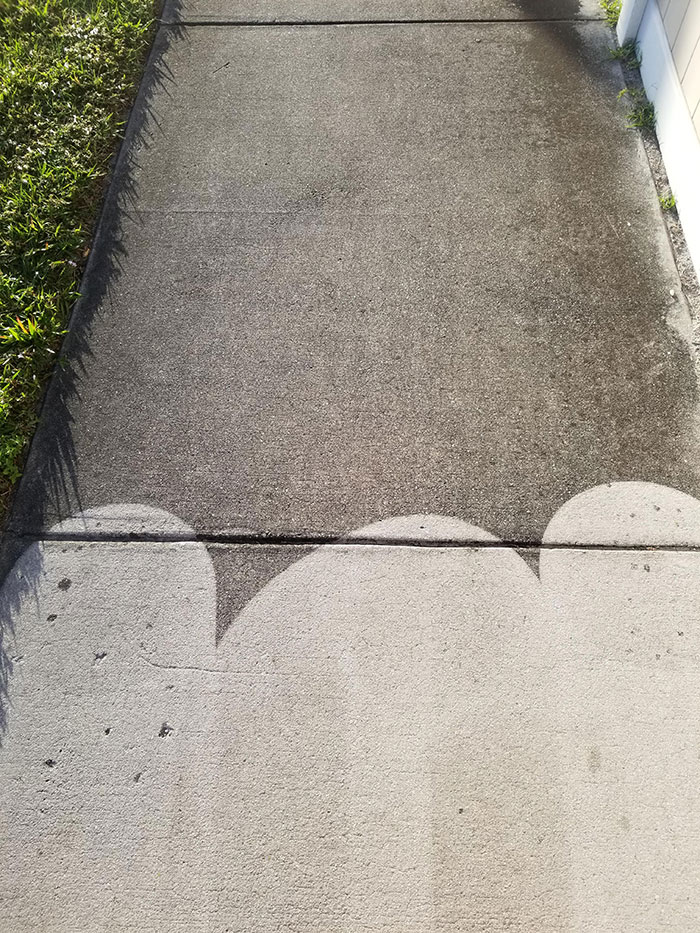 I Was Walking My Dog And Came Across This Monstrosity