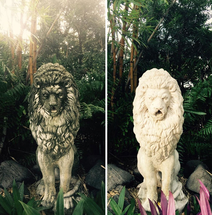 Like New Lion Fountain