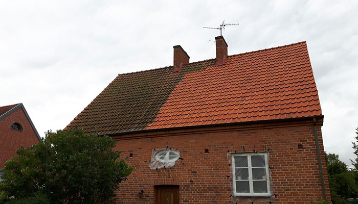 I Thought Our Roof Was Supposed To Be Black. Apparently Not