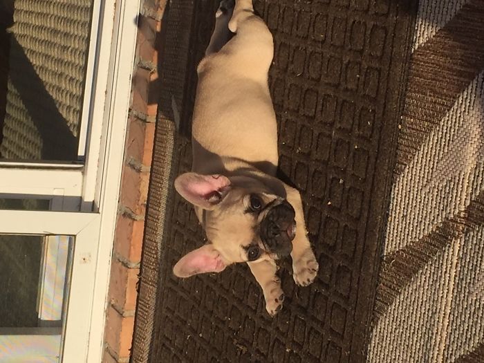 Getting Warm In The Sun