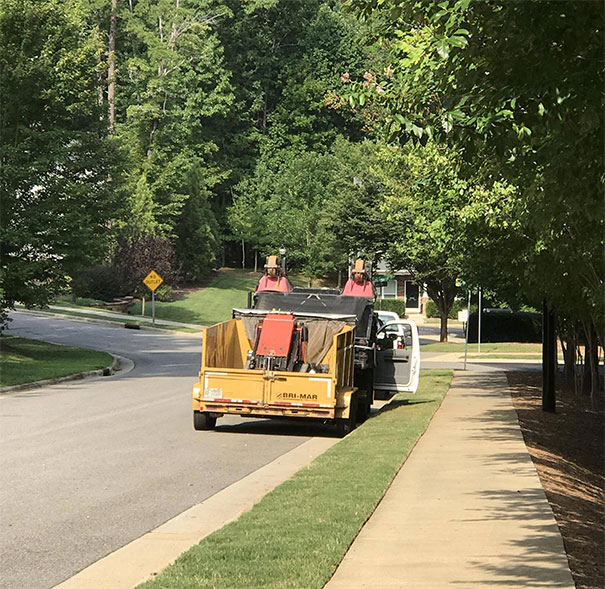 From A Distance, These Wheelbarrows Look Like 2 Amish Men Sitting Next To Each Other
