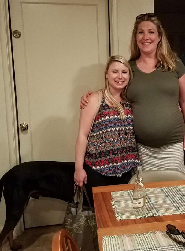 My Sister Looks Like A Female Centaur