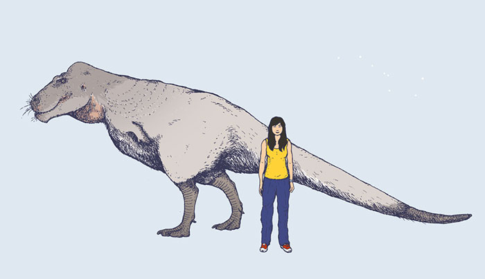 The Newly-Discovered Polar Dinosaur Nanuqsaurus, From Fossil Deposits In Alaska, Seen Here In Scale With A Modern-Day Inuit Girl. Nanuqsaurus Was A Small-Sized Relative Of The Famous Tyrannosaurus Rex