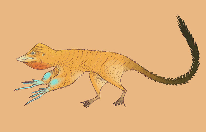 The Earliest Ancestor Of Pterosaurs Could Have Been Something Like This. This Is A Speculative Animal