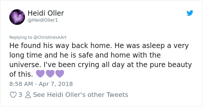 prince-tribute-bush-bloom-christine-stein-sacramento-california-16