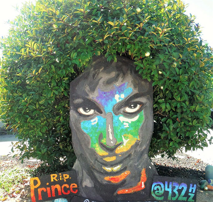 prince-tribute-bush-bloom-christine-stein-sacramento-california-9 prince-tribute-bush-bloom-christine-stein-sacramento-california-9