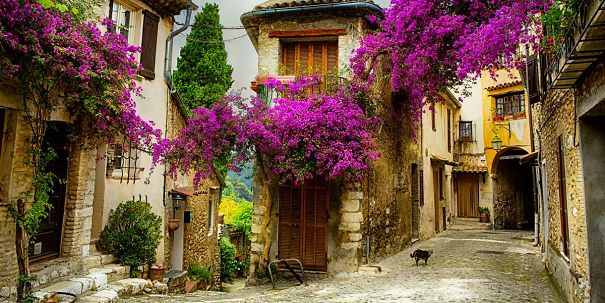provence-5ae420be09e99.jpg