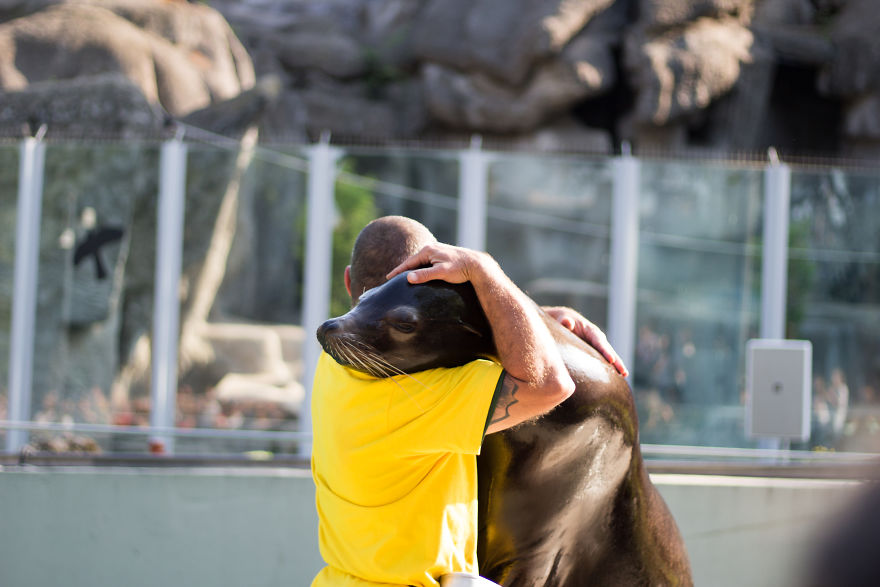 I Went To The Budapest Zoo To Take Some Real Pics.