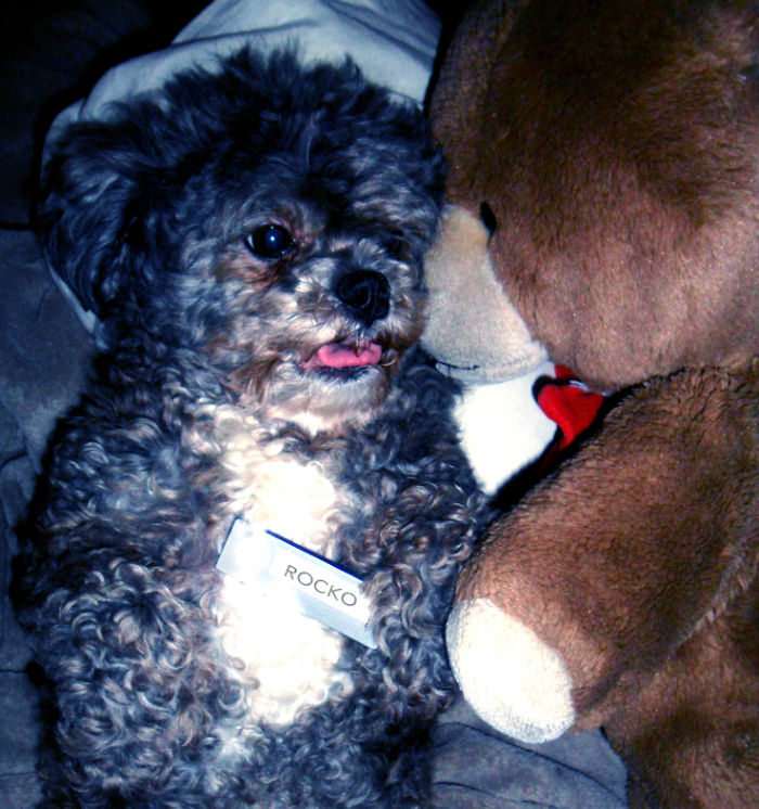 Say "Hello" To My Leedle Fren