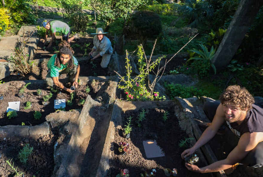 Why This Empowerment Center In Brazil Is Attracting People From All Over The World To Live A New Way Of Life