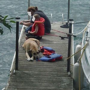 jillvillechildcare avatar