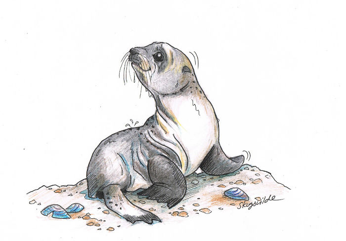 So Here I Go Again. Paper, Yes. Pencil, Yes. A Touch Of Skogsvilde, Yes Absolutely!