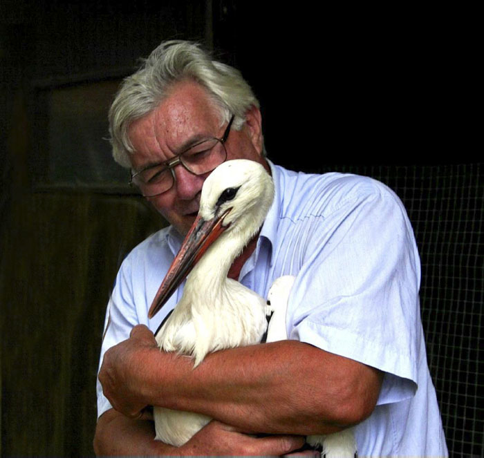 This Stork Has Been Flying 13,000 Km Each Year For 16 Years To See His Injured Soulmate This Stork Has Been Flying 13,000 Km Each Year For 16 Years To See His Injured Soulmate
