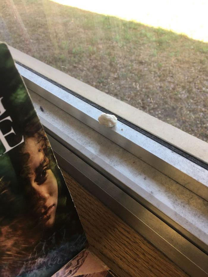 This Teacher Had Enough Of The BS Parents And Kids Give Her, So Before Quitting She Posted This Epic Rant Online