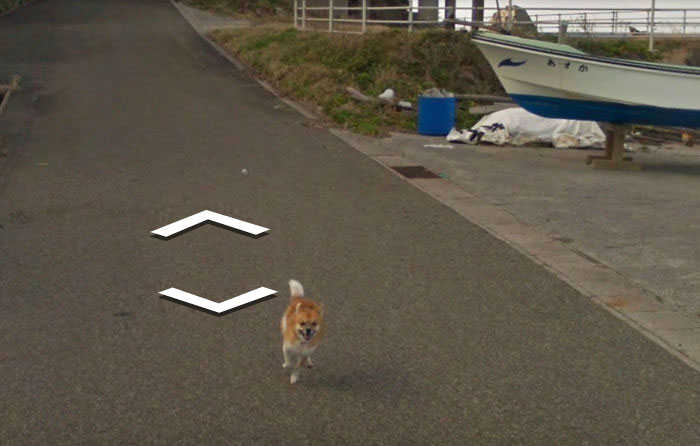 tiny-dog-follows-street-view-car-kagoshima-japan006 tiny-dog-follows-street-view-car-kagoshima-japan006