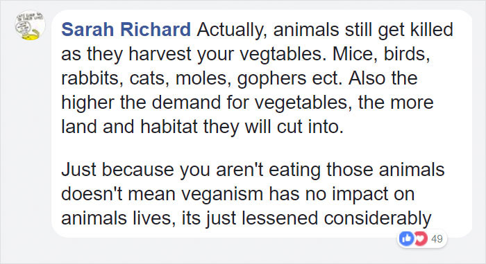 tumblr-thread-vegans-not-living-cruelty-free-rosasdesal28